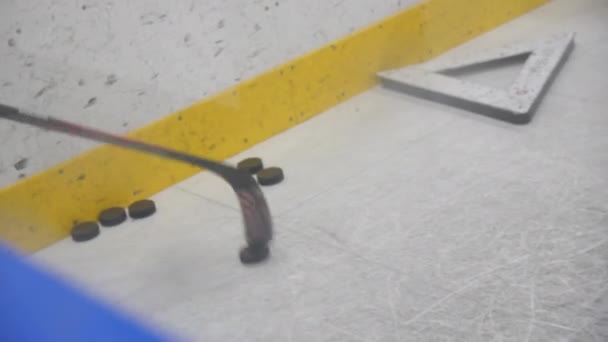 Hockey Player Practices Stick Puck Ice Arena Thorough Training Young — 비디오