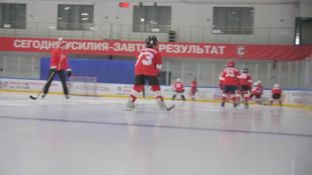 Children Hockey Gear Practice Group Activities Coach Ice Arena Hockey — Stock video