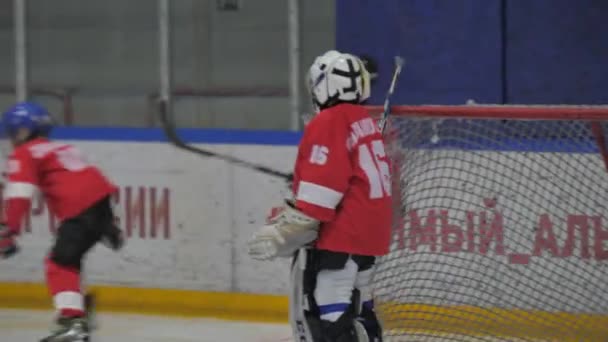 Hockey Player Protects Gates Opponents Competition Future Hockey Stars Learn — Vídeo de Stock