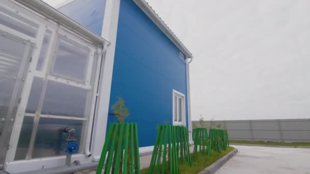 Edifício Industrial Azul Com Parede Transparente Árvores Jovens Crescimento Quintal — Vídeo de Stock