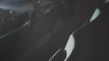 Seyirci koltukları karanlık oditoryumdaki parlak projektörler tarafından aydınlatılıyor. Konser salonundaki ziyaretçiler için sandalyeler hazır. Stadyumdaki koltuklar.