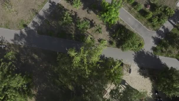 Orang Berjalan Santai Sepanjang Jalan Menikmati Pemandangan Indah Taman Man — Stok Video
