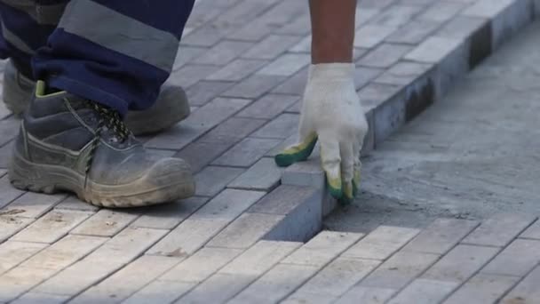 Мужчина Строитель Перчатках Умело Прокладывает Тропинку Тротуарной Плиткой Строительство Пешеходной Лицензионные Стоковые Видео