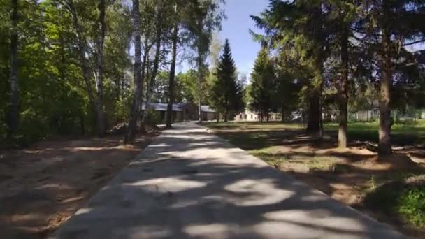 Long Asphalt Pathway Stretches Dense Trees Residential Buildings Combination Modern — Stock Video