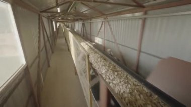 Karton fabrikasında ahşap işleme işlemi sırasında taşıyıcı. Tesis bölümleri arasında kısa sürede ince bir nakliye malzemesi