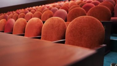 Kırmızı kadife koltuklu oditoryum ahşap sahnenin karşısında. Parlak salon geleneksel kültürel ve törensel etkinliklerin yapılacağı yeri temsil ediyor