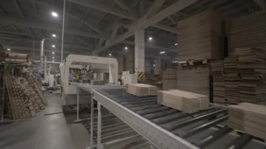 ALMATY, KAZAKHSTAN - 08 Ekim 2024: Bitmiş ürünleri kutu şeklinde taşıyan taşıyıcı bant. Özel mekanizmalar depo yakınındaki malzemeyi paneller ile işliyor