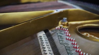 Açık kuyruklu piyano içerideki telleri ve detaylı yapıyı ortaya çıkarır. İçeriye bir göz atın. Muhteşem bir enstrüman ustalığı.