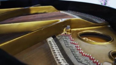 Büyük piyanonun kapağını açmak karmaşık telleri ve dahili mekanikleri ortaya çıkarır. Tasarıma bir bakış, güzelliği ve hassasiyeti gösterir.