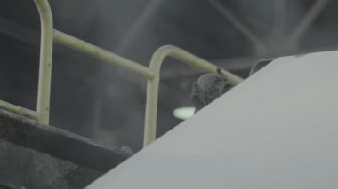 Fabrika atölyesinde buharlı kağıt kurutma aşaması. Taşıyıcı sonunda nemi kaldırdı ağ için gerekli koşulları oluşturdu