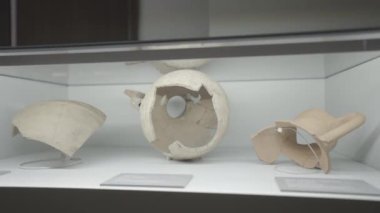 Antik çömlekçiliğin kalınlığı ve dokusu kenar perspektiften yakından göstermektedir. Cam vitrin her serginin kırılgan güzelliğini korur.