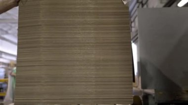 Çalışanlar, ambarda depolamak için büyük, bitmiş karton çarşafları raflara koyar. Daha fazla ulaşım ve dağıtım için gerekli materyalleri içeriyor