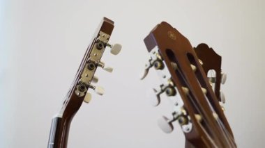 Müzik sınıfında akustik gitarların boyunları düzgünce askıda dinleniyor. Tahta tanecikleri ve akort mandalları yumuşak sınıf günışığında parlıyor.