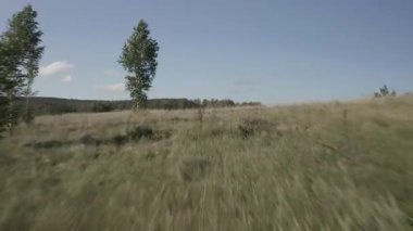 Çimenli açıklık boyunca hareket eden kamera vadiyi ortaya çıkarıyor. Ormanlı ve yuvarlanan tepeli çayır huzur dolu bir yolculuk hissi uyandırıyor.