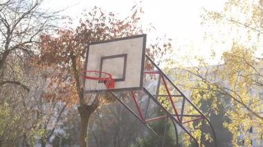 Arka tahtası yıpranmış basketbol potası sonbahar yapraklarıyla ağaçların arasında duruyor. Kentsel ortamdaki eğlence alanı, şehirde yaşananları gösteriyor.