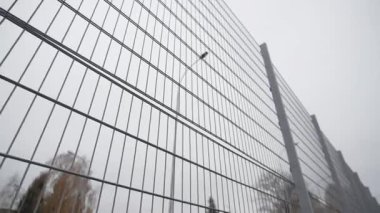 Zincirleme tel, spor sahasına kadar uzanıyor. İnce metal kablolar havadar koruyucu bariyer oluşturur ve gökyüzü sessiz ve huysuz bir ton ekler.