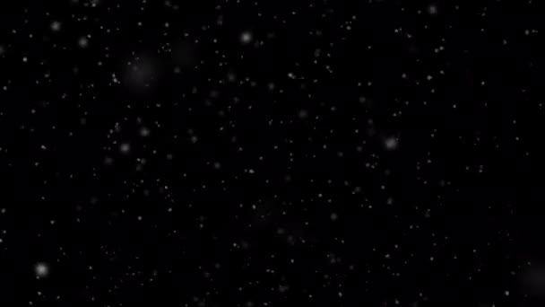 Film Loop Con Neve Natale Sfondo Neve — Video Stock