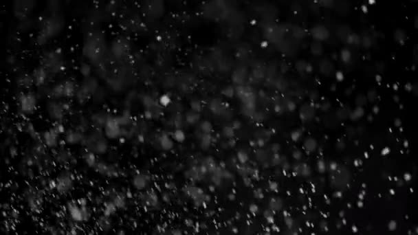 Loop Film Heavy Christmas Snow Homályos Hóháttér Alpha Channel — Stock videók