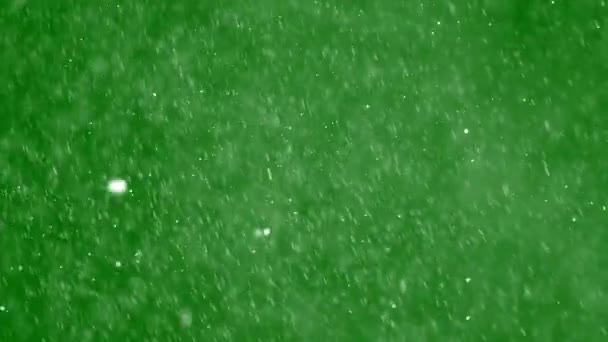 Kerstsneeuw Animatie Van Zware Sneeuwval Vallende Sneeuwvlokken Groen Scherm — Stockvideo