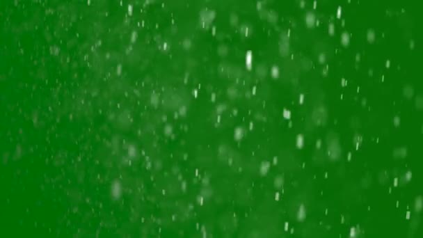 圣诞节的雪大雪的动画 绿幕上飘落的雪花 — 图库视频影像