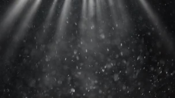 大雪在一盏灯的灯光下随风飘扬 — 图库视频影像