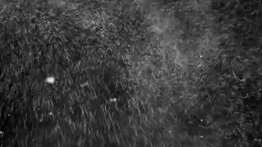 Son derece türbülanslı kar fırtınası. Kar taneleri son derece rüzgarda dönüyor.