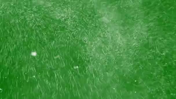 Метель Снегом Чрезвычайно Турбулентна Снежинки Крутятся Ветру Зеленом Экране — стоковое видео