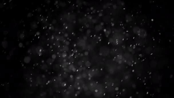 Grandes Flocos Neve Natal Estão Lentamente Girando Vento — Vídeo de Stock