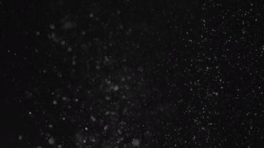 Büyük Noel kar taneleri rüzgarda yavaşça dönüyor. 