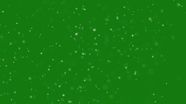 Les Grands Flocons Neige Noël Tournent Lentement Dans Vent Sur — Video