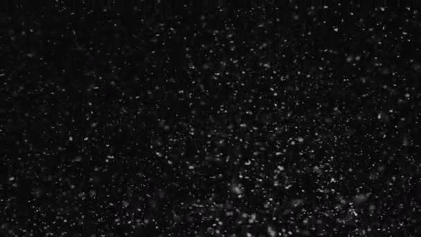 圣诞大雪在风中缓慢地旋转着 — 图库视频影像