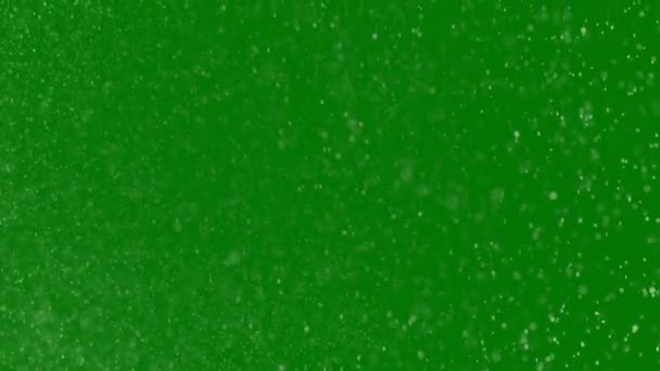 Grandes Flocos Neve Natal Estão Lentamente Girando Vento Tela Verde — Vídeo de Stock