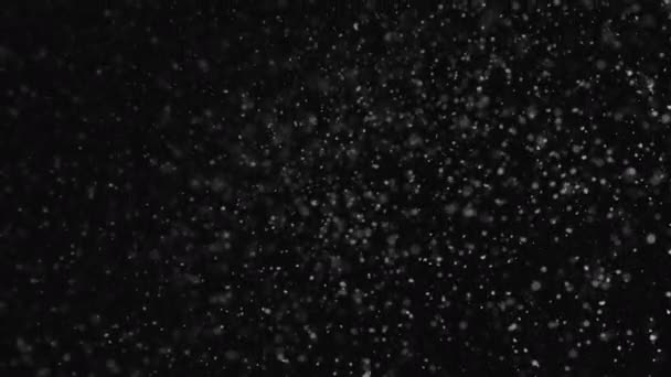 Superposición Nevadas Grandes Copos Nieve Navidad Están Girando Lentamente Viento — Vídeo de stock
