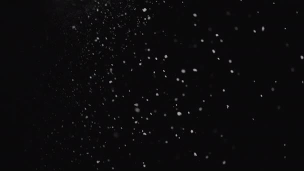 Schneefall Überlagert Große Weihnachtsschneeflocken Drehen Sich Langsam Wind — Stockvideo