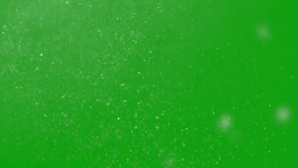 Медленно Падающий Снежный Эффект Рождества Фоне Хрома Ключ — стоковое видео