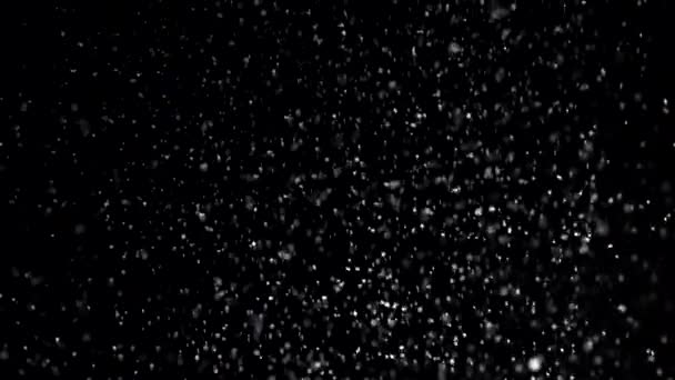 Slowly Falling Christmas Snow Black Background — Stock Video