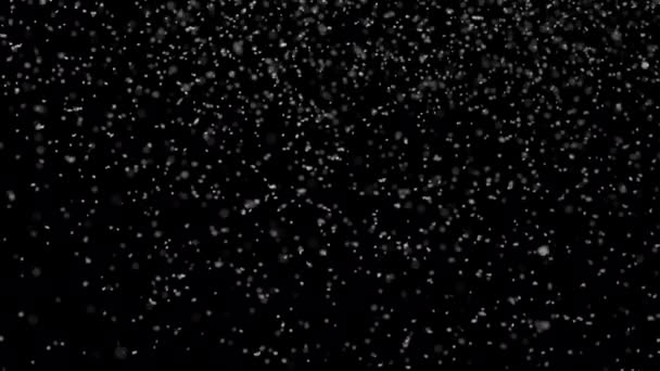Slowly Falling Christmas Snow Black Background — Stock Video