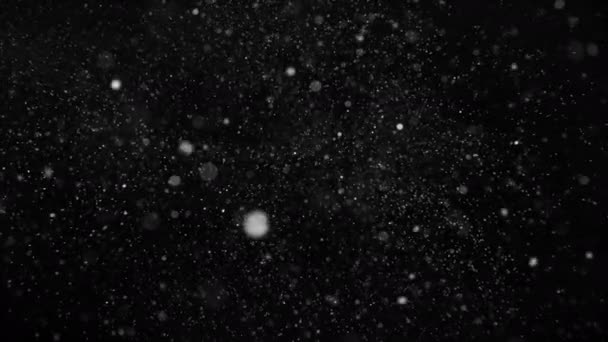 Powoli Spadający Świąteczny Śnieg Czarnym Tle — Wideo stockowe