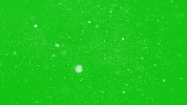 Αργά Πτώση Χιόνι Χριστουγέννων Πράσινο Φόντο Οθόνη — Αρχείο Βίντεο