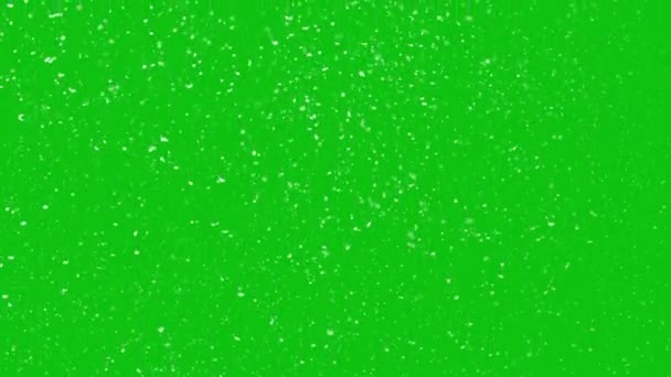 Slowly Falling Christmas Snow Green Screen Background — Stock Video