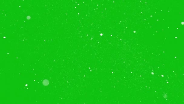 Медленно Падающий Рождественский Снег Зеленом Фоне Экрана — стоковое видео