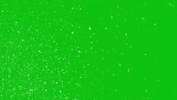 Lentamente Cayendo Nieve Navidad Sobre Fondo Pantalla Verde — Vídeo de stock