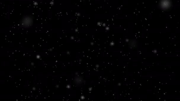 Siyah Arka Planda Düşen Kar Taneleri Alfa Kanallı Noel Projeleri — Stok video