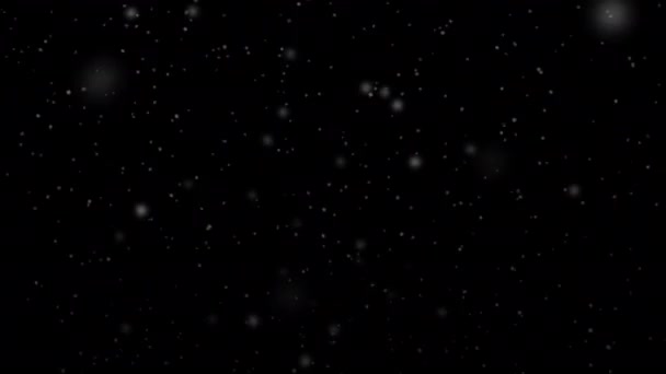 Fallende Schneeflocken Auf Schwarzem Hintergrund Schnee Overlay Für Weihnachtsprojekte Mit — Stockvideo