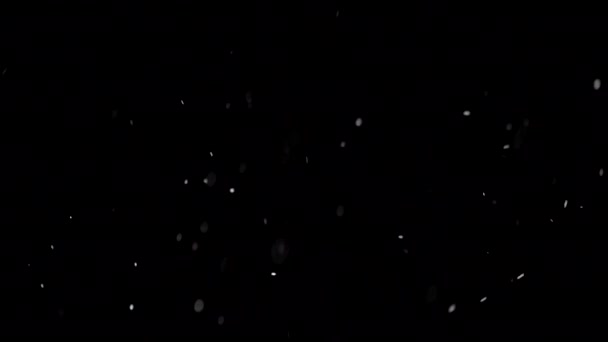Siyah Zemine Yavaşça Kar Yağıyor — Stok video
