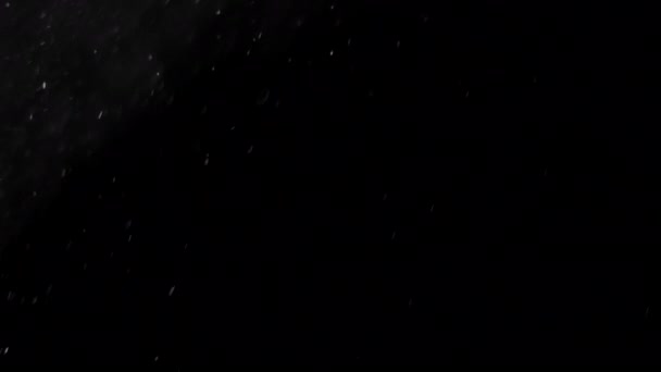Siyah Zemine Yavaşça Kar Yağıyor — Stok video