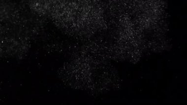 Noel kar taneleri sert bir rüzgarla uçup gidiyor.