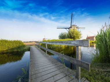 Meşhur Hollanda ahşap yel değirmenleri. Yaz akşamı kırsalında. Hollanda 'nın renkli açık hava manzarası.