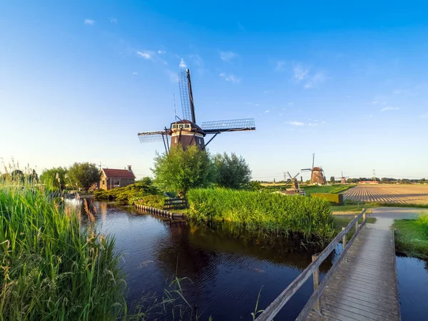 Słynne Holenderskie Drewniane Wiatraki Letni Wieczór Wsi Kolorowe Plenerowe Sceny — Zdjęcie stockowe