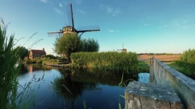 Meşhur Hollanda ahşap yel değirmenleri. Yaz akşamı kırsalında. Hollanda 'nın renkli açık hava manzarası.
